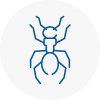 Ant Removals In Petersfield
