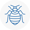 Bed Bug Extermination In Petersfield
