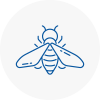 Bee Nest Removal Petersfield