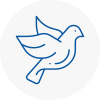 Bird Prevention Petersfield