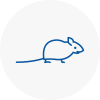 Mice Exterminators In Petersfield