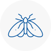 Moth Control Specialists In Petersfield