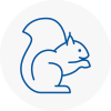 Petersfield Rodent Removals